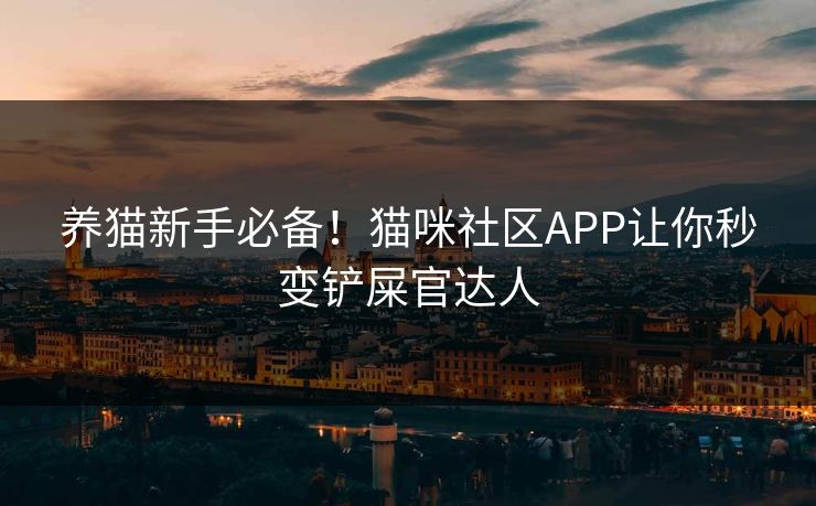 养猫新手必备!猫咪社区APP让你秒变铲屎官达人 养猫新手必备!猫咪社区APP让你秒变铲屎官达人