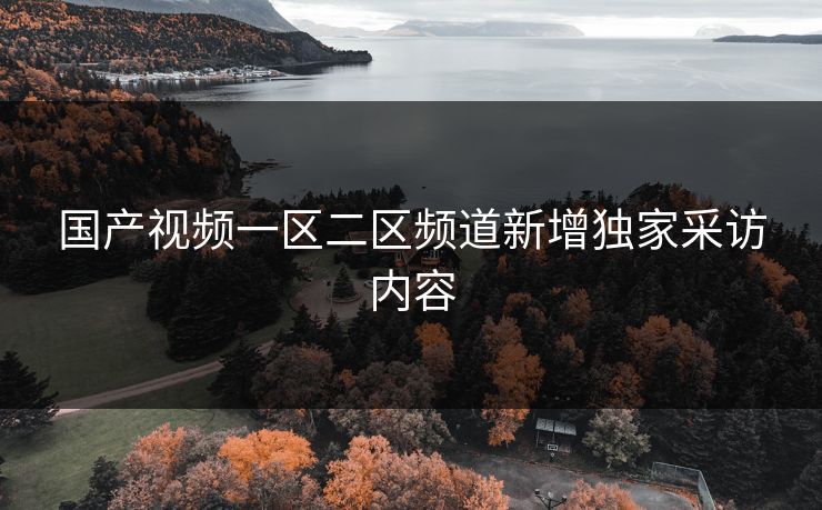 国产视频一区二区频道新增独家采访内容